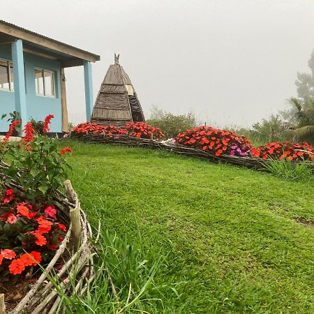Au Coeur De La Cascade Biberon Bed & Breakfast La Plaine des Palmistes Exterior photo