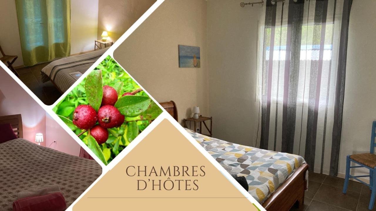 Au Coeur De La Cascade Biberon Bed & Breakfast La Plaine des Palmistes Exterior photo